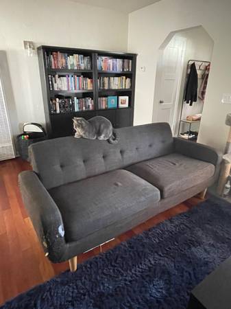 Free Couch 1