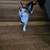 Kaliko kitten 3 thumbnail