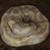 Banana pied ball python 1 thumbnail
