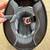 XL Shoei RF-900 Troy Lee Designs motorcycle helmet 6 thumbnail