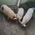 Kune kune pigs 1 thumbnail