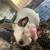 Rabbits 5 thumbnail