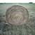 4x5 Coastal/ Grazer mix Hay 1 thumbnail