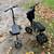 Knee Scooters 1 thumbnail