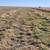 8% Protien Bluestem Grass Hay Round Bales early cut - 2023 2 thumbnail