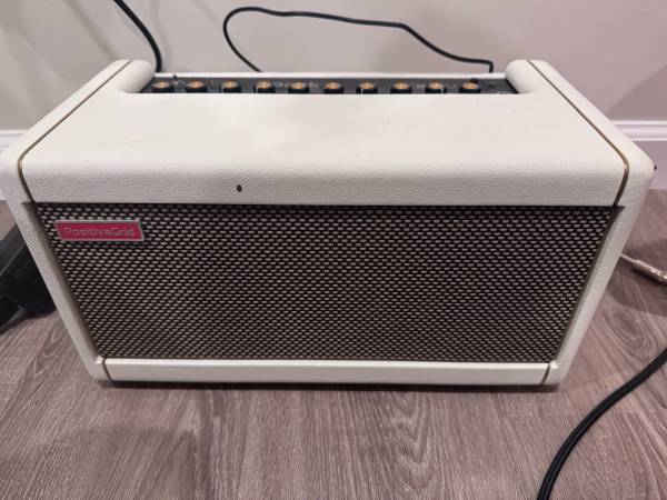 Like new PositiveGrid Spark 40 Amp and Airstep pedal 1