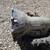 400 trans, 1958 front axle assy, radiator 1 thumbnail
