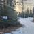 - Pending - Residential lot off Holt-Lamplight 6 thumbnail