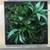 LIVING WALL 2 thumbnail