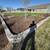 🌳Professional Landscaping, Pavers, Retaining Walls ● Reputable! 10 thumbnail