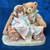 VINTAGE Personalized CHERISHED TEDDIES FIGURINES 20 thumbnail