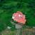 Ranch for sale in San José del Valle, Nayarit, investment opportunity 15 thumbnail