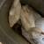 Sebastopol Goslings (Geese Babies) Male and Female 10 thumbnail
