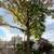 GM TREE SERVICE 1 thumbnail