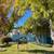 Fully renovated!! ~ Awesome Apartment ~ Playground and picnic and BBQ! 6 thumbnail