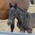 Ranch work fencing, feeding, fixing things 14 thumbnail