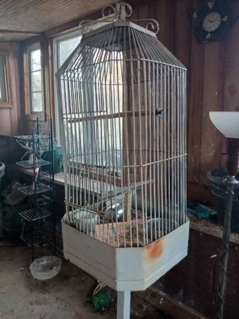 Bird Cage 1