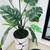 Oversize faux fig leaf plant and base modern 1 thumbnail