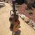 Paulino Bernabe Classical Guitar Model 5 3 thumbnail