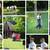 Photographer for Event, Headshot, Maternity, Wedding, Family Portrait 2 thumbnail