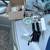 Nintendo Wii console with games also miscellaneous Nintendo games Sega PlayStati 1 thumbnail