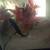 Two axolotls 2 thumbnail