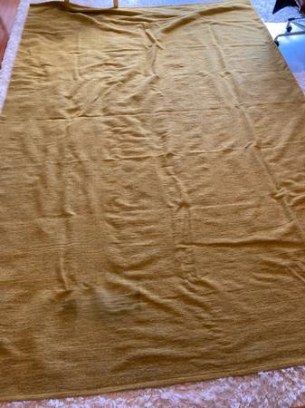 Ikea 8’ by 12’ area rug 1