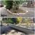 Junk Removal, Yard Clean-up, Landscape, Tree Service and Concrete (Yard Clean-up 6 thumbnail