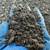 🚜 Asphalt Millings Delivered – Driveway, Parking, Pads – Orlando Area 12 thumbnail