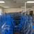 Pin Handle Hand Truck Steel 2 Wheel Dollies Moving Cart - Murphy & Sim 7 thumbnail