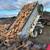 Firewood 1 thumbnail