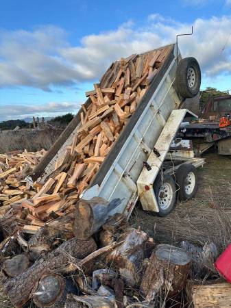 Firewood 1