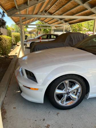2007 Shelby Mustang GT - $25,000 (dublin / pleasanton / livermore)63654702111491122