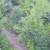 TBD FM 1696 ~ Land for Sale in Iola, TX 13 thumbnail