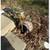 Blowout / Winterization Irrigation & Sprinkler System - Boulder County 2 thumbnail