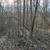 12.4 wooded acres with cleared camp/build site-Owner Financing Availab 1 thumbnail