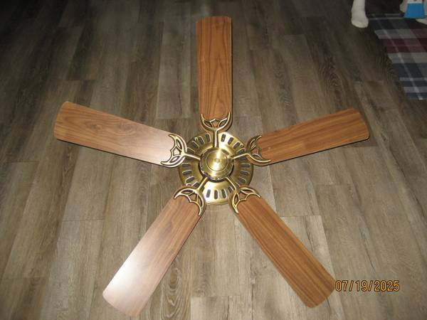 Hunter Ceiling Fan 1