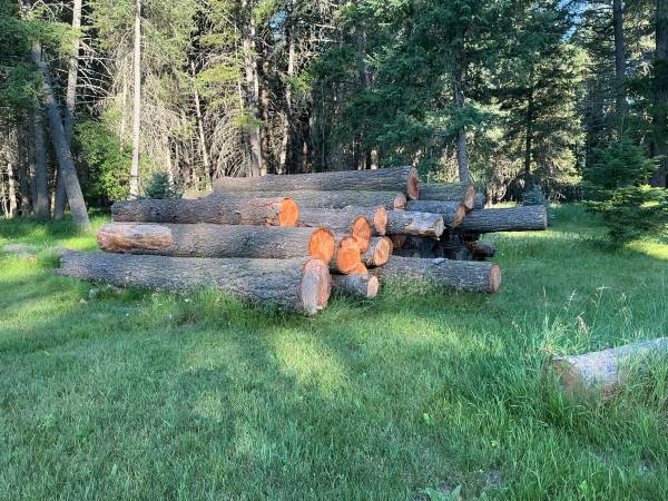 Free logs 1