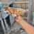 Chickens 10 thumbnail