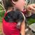 German shepherd babies 10 thumbnail