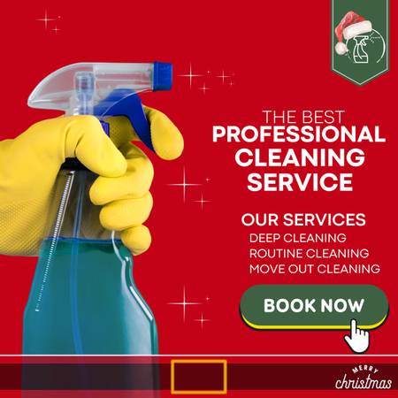 Professional cleaning service 1