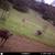 RANCH WITH 664 ACRES IN SONOMA COUNTY WINE COUNTRY 24 thumbnail