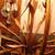 70 PRISM CHANDELIER 4 thumbnail
