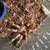 Tarantulas 10 thumbnail