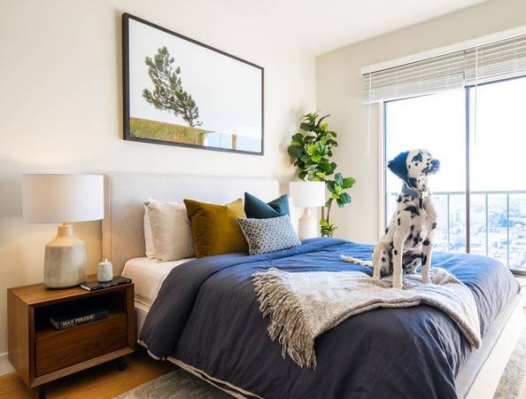 $4,850 / 1br - 650ft2 - Sauna, Large Closets, Free Weights, Package Receiving (nob hill)63847329484675120