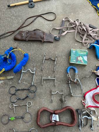 Horse equipment 1