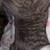 Rehoming cat 3 thumbnail