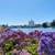 1BR Near Lake Merritt – Spacious Lobby, Laundry, Walkers Paradise! 10 thumbnail