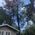 ⭐️⭐️⭐️——-TREE REMOVAL——⭐️⭐️⭐️ BEST PRICES 12 thumbnail