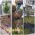 Tree  services, landscaping 8 thumbnail